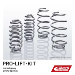 Eibach Pro-Lift-Kit performance lift springs